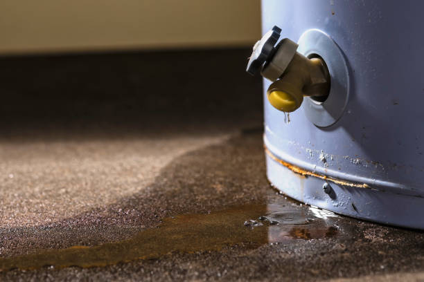 Best Flood damage cleanup  in Oakhurst, NJ