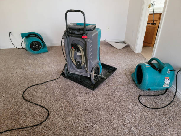 , NJ Water damage restoration Company