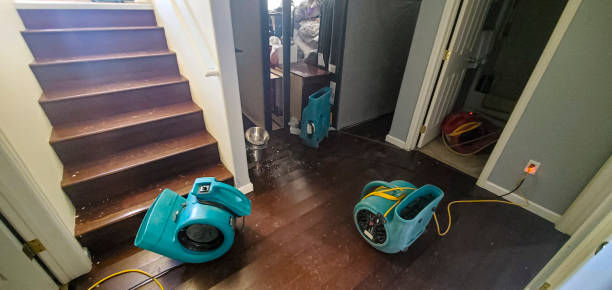 Best Water damage restoration near me  in Oakhurst, NJ