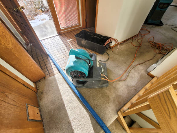 Best Mold removal after water damage  in Oakhurst, NJ