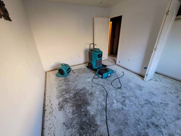 Best Flood restoration services  in Oakhurst, NJ