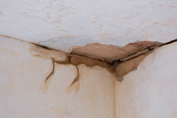  Oakhurst, NJ Water damage restoration Pros