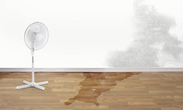 Best Commercial water damage restoration  in Oakhurst, NJ