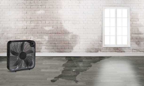 Best Local water damage restoration  in Oakhurst, NJ