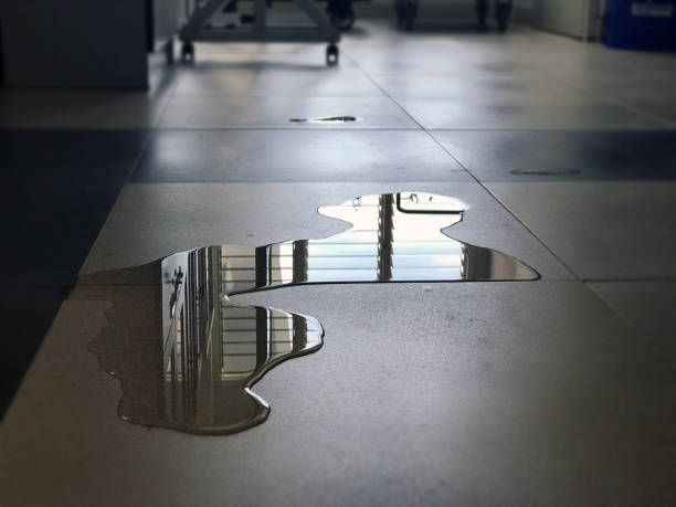 Best Water damage restoration near me  in Oakhurst, NJ