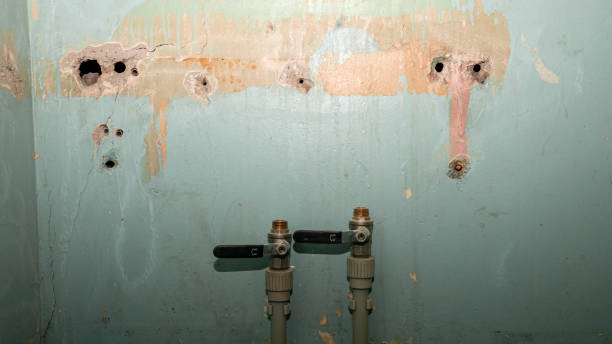 Best Water damage repair service  in Oakhurst, NJ