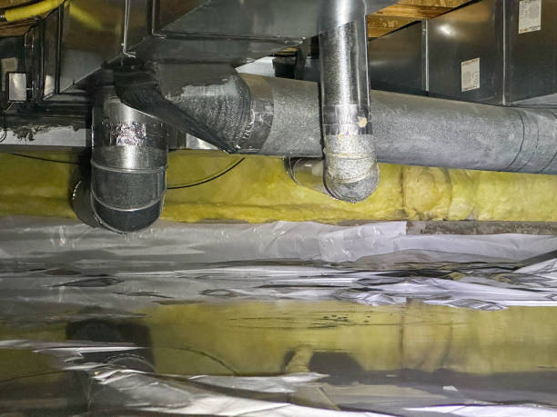 Best Water damage restoration experts  in Oakhurst, NJ